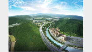 찾았다! 저금리시대 알맞은 투자처, 강원라마다 호텔&리조트 특급 분양가 눈길!!!