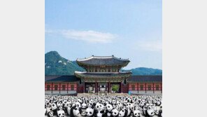 ‘1600 판다’ 프로젝트, 국내 상륙…23일 세종문화회관 시작으로 플래시몹 전시