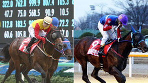 2분 레이스에 총상금 ‘7억’…우승 다투는 형제마 