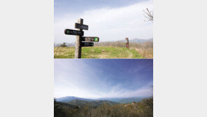 하이원, 하늘길 일대에서 ‘하이원 하모니 트레킹’