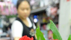 오늘 로즈데이, 색깔별로 꽃말 달라…‘피해야 할 색은’ OO색?