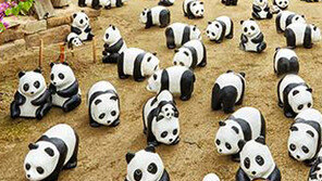 1800마리 ‘종이 판다’ 한국상륙 