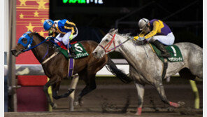 일본 경주마 ‘과천상륙작전’ 성공할까?