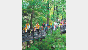 [수도권]자원봉사자와 함께… 어르신들의 안산 나들이