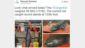 길이 6m·무게 59kg ‘괴물 붕장어’ 잡았는데…고작 7만 원?