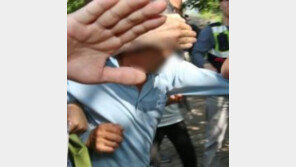 배용준 결혼 등 연이은 이슈에 일부 네티즌 "유병언 때문" 음모론...무슨일?