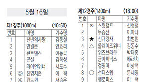 5월 16일, 17일 경마 출마표