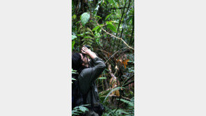 [책의 향기/이 책, 이 저자]김산하 씨 “숲뿐인 밀림에서의 고독, 긴팔원숭이에게 위로 받았죠”