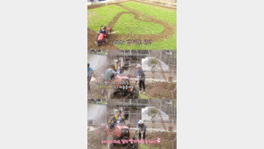 ‘삼시세끼’ 이서진, 정선편 첫방서 최지우 언급 “김치 담가주러 오기로 했다”