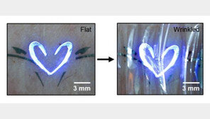 피부 부착 디스플레이란? 구겨져도 작동 OK! 크기 보니…국내 연구진 개발