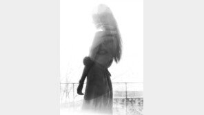 빌보드 보아 극찬, “가수로서뿐만 아니라 프로듀서로서의 재능”