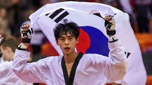 [콤팩트뉴스] 김태훈, 세계태권도선수권 남자 54kg급 금메달 外