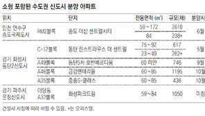 얼굴 좀 보자, 신도시 소형아파트