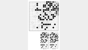 [바둑]제59기 국수전… 수상전