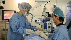 시금치-장어 섭취, 노안 늦추는데 도움