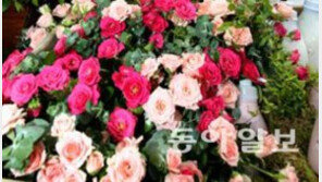 성년의 날 유래는 고려 광종 때인 965년… ‘장미, 향수, 키스에 담긴 뜻은?’