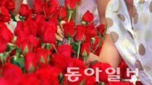 오늘 18일은 성년의 날! 장미 향수 키스의 의미는?