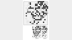 [바둑]제59기 국수전… 상전벽해