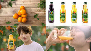 롯데칠성음료, 과일 맛-영양 그대로 담은 무가당 주스 4종 출시