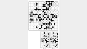 [바둑]제59기 국수전… 하변을 움직인 이유는