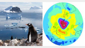 남극 빙붕 소멸 예측, 나사(NASA) “라르센 B, 2020년 완전히 붕괴”…지구온난화 심각성↑