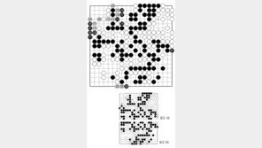 [바둑]제59기 국수전… 209를 두기까지