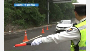 경찰, 낮 시간대 음주 단속 강화… 반주(飯酒)는 절대금물