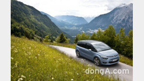 시트로엥, ‘2015 봄 코카프’ 공식 후원