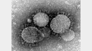 중동 호흡기증후군 첫 환자 발생, 38℃ 이상 발열·기침과 호흡곤란 등