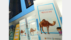 [전문]중동 호흡기증후군 ‘메르스’ 3번째 환자 발생…공포 확산 ‘덜덜’