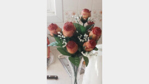 장미의 종류, 무려 2만5천여 종… 로즈데이 유래는?