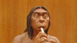 인류 최고 석기 케냐 북부서 발견, 330만年 전 도구? 새로운 인류 조상 가능성…‘관심UP↑’