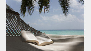 캐세이패시픽, 한-홍콩 구간 마일리지 3배 프로모션