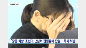 [동영상]조현아 집행유예 석방, “두 살 쌍둥이 엄마이고 초범…”