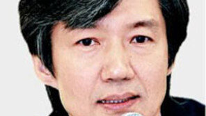 조현아 집행유예 석방, 조국 교수 시나리오 적중? “집행유예 2년 선고돼도 행복할 것”