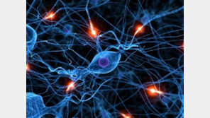 신진대사 올리는 법 “크게 웃고 물을 많이 그리고 또”