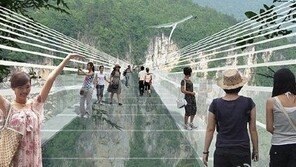 아바타 촬영지 공중 유리다리 예정 “스케일이 다르네”