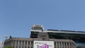 서울광장의 판다 1600 마리 플래시몹...무슨일?