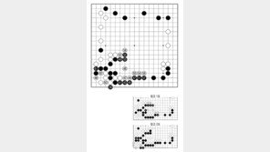 [바둑]제59기 국수전… 59는 손해 수