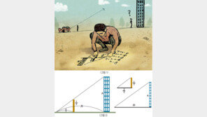 [신문과 놀자!/박병하의 수학 다르게 보기, 제대로 보기]짧은 막대로 건물 높이를 잴 수 있어요