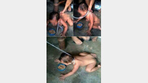 아기에 목줄 채우고 개취급한 사진 SNS에…정신나간 母 