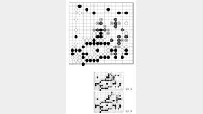 [바둑]제59기 국수전… 완착 99