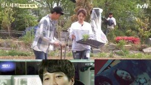 삼시세끼 옥택연-박신혜 ‘달달 케미’ vs 프로듀사 차태현 ‘애틋한 고백’…승자는?