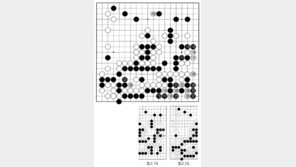 [바둑]제59기 국수전… 좋은 수 113