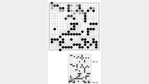 [바둑]제59기 국수전… 패착 152