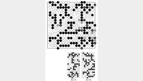 [바둑]제59기 국수전… 좋은 수 227