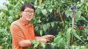 [제주/新명인열전]“제주서 커피나무 재배…세계적인 커피 만들 것”