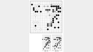 [바둑]제59기 국수전… 실착 77