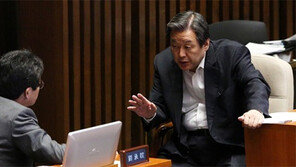 김무성 “국회법, 정부입장 맞출수밖에”