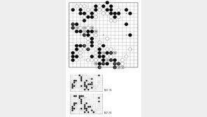 [바둑]제59기 국수전…응수타진101